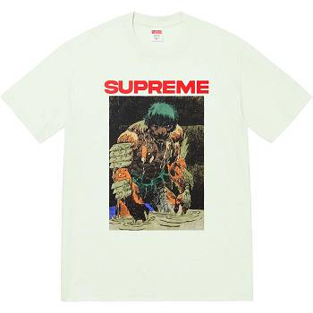 Supreme Ronin Tee T Shirts Mint | SG353EX